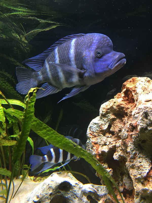 3F99BF3A-6CBD-41D2-ADB8-9241966E1FFC