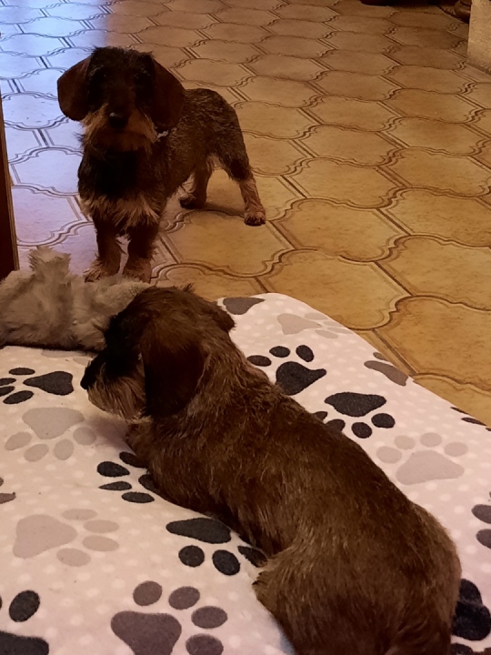 [Image: Resized-20230401-201504.jpg]