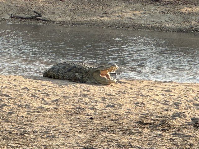 [Linked Image from i.postimg.cc]