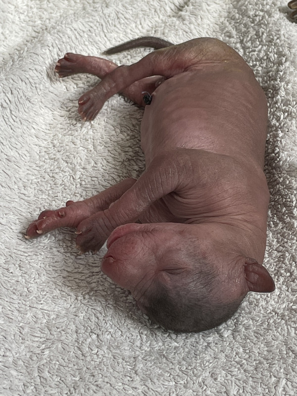 A16733B6-09EE-460D-838A-352DDBF37B2E