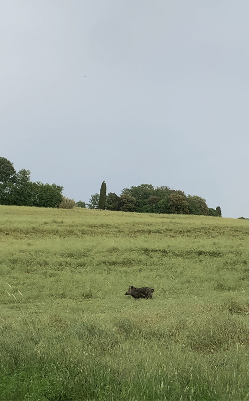 1C65F4D7-8F80-4262-A285-425F698DA44F