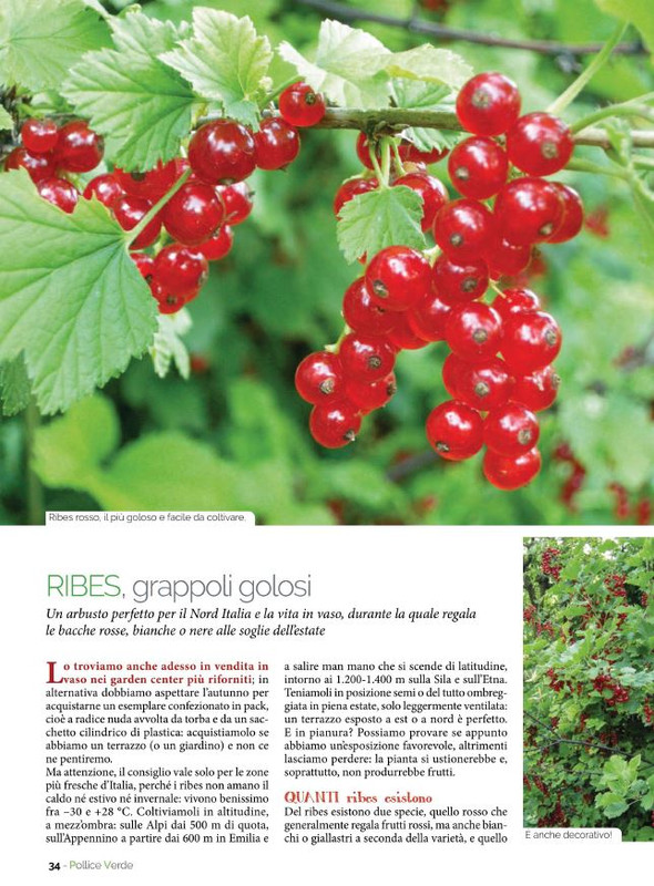 Pol Ver Giu 2022 (7)