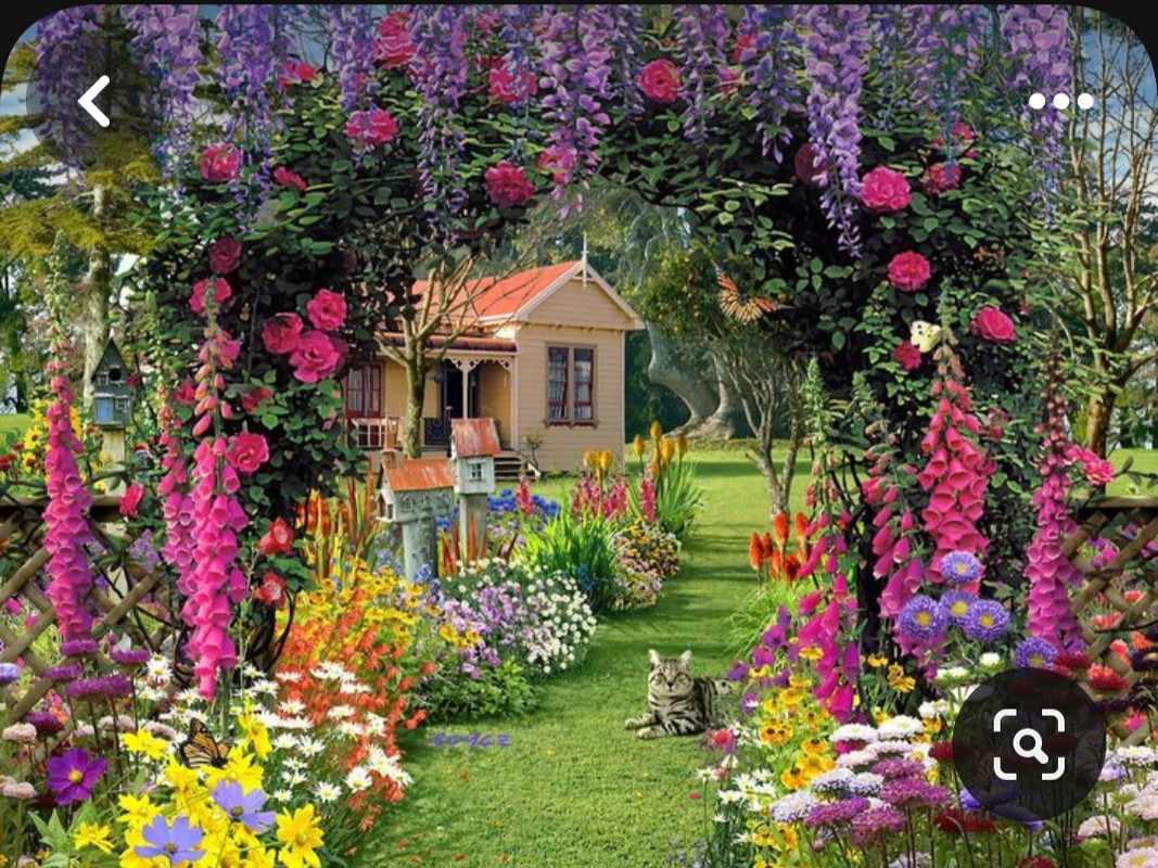 Screenshot_20230906_004202_Pinterest