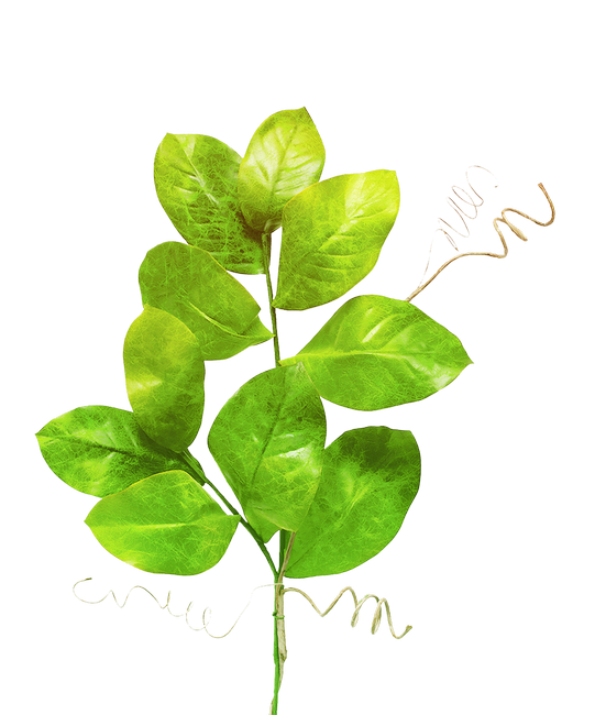 PeacockDreams_MM_Element (131)