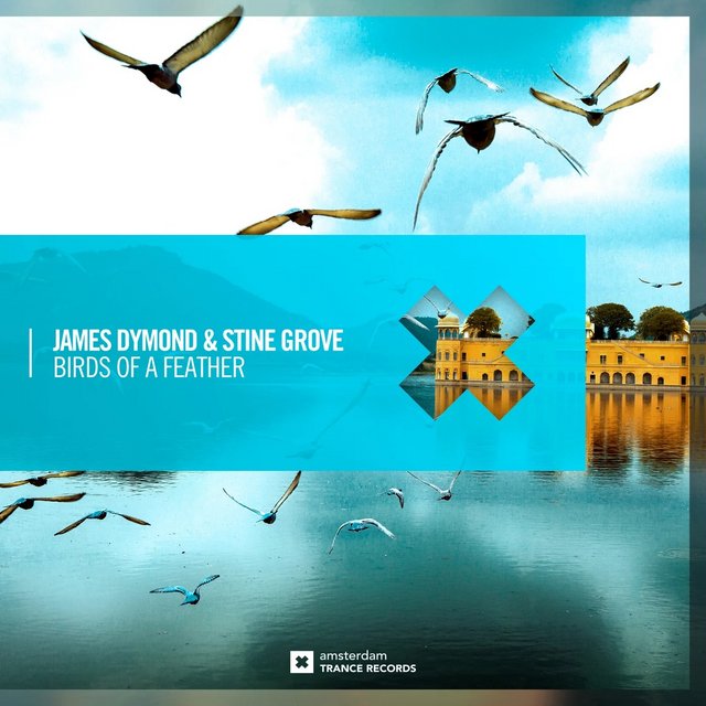 [Obrazek: 00-james-dymond-and-stine-grove-birds-of...-cover.jpg]