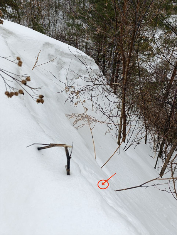 photo 2026 02 18 02 06 04