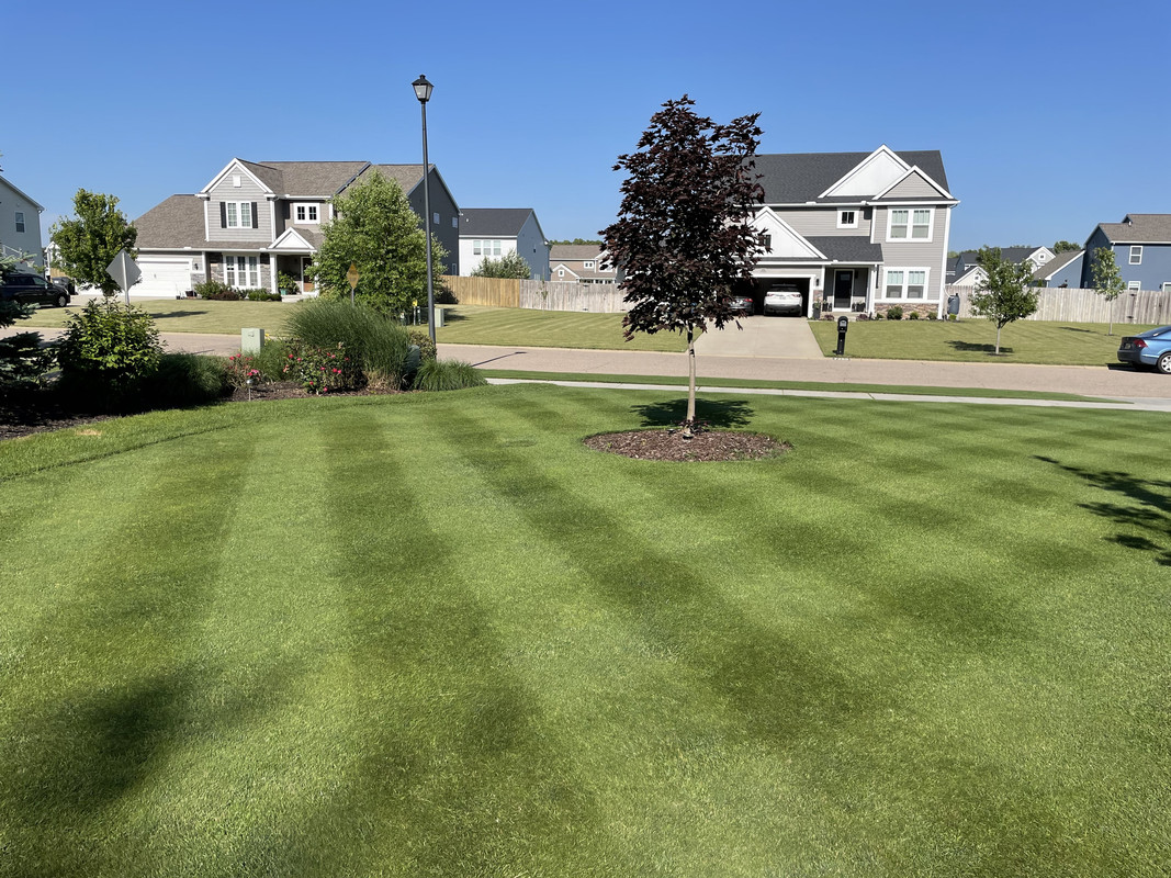 A2B96DDF-FCAA-4BA7-AAD6-FC3BE1A262F9