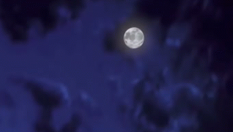 [Изображение: 1yi2.gif]