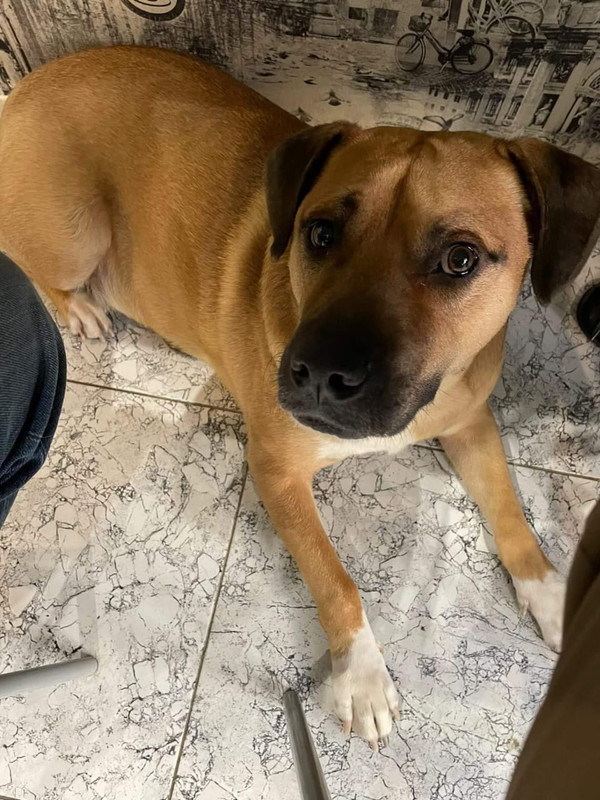 D7D4E04C-15C6-4160-BD5D-87F6C64BD286