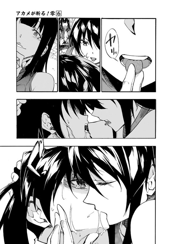 Akame ga Kill! ZeroVol6-25