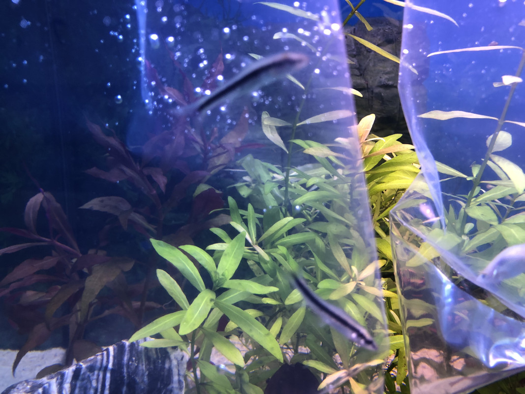 CC39A735-2FB6-42CE-88AE-A959C088071E