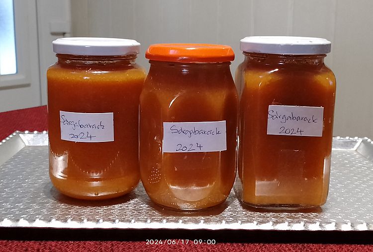 https://i.postimg.cc/ZRVcRd69/sargabaracklekvar-2024-1.jpg