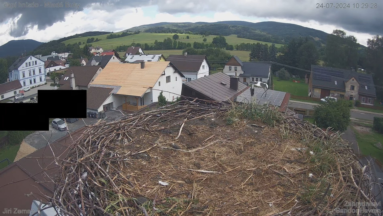 Tiešraides kamera — Mladé Buky — stārķa ligzda 12-56-52 screenshot