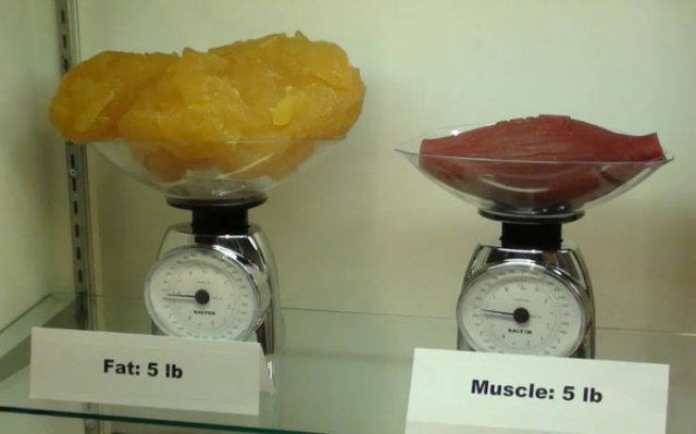 Comparaciones-23
