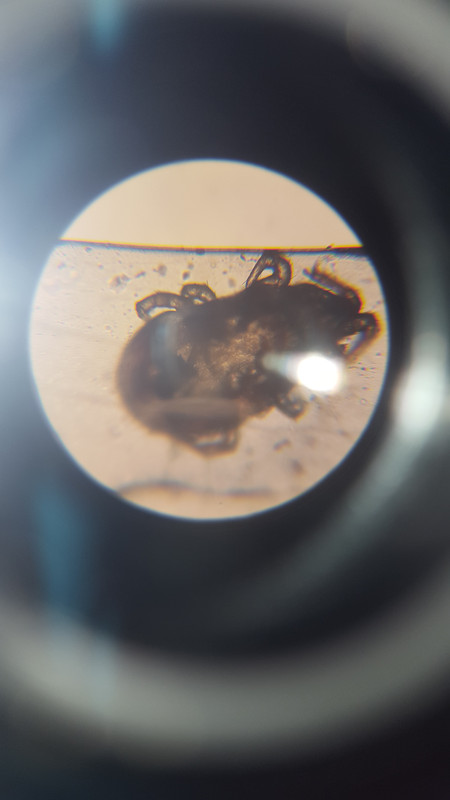 20180813_161931