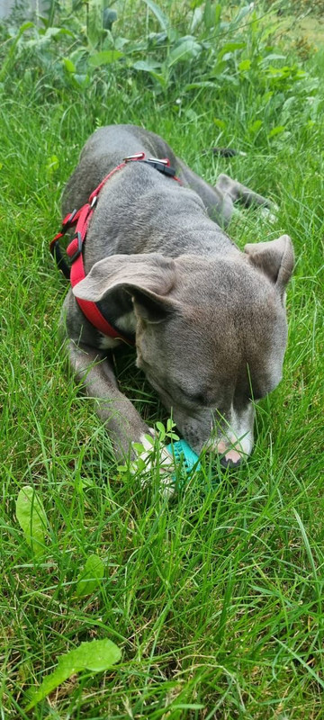 F9C5A563-41D1-43C6-B727-3B7D6A8B00F5