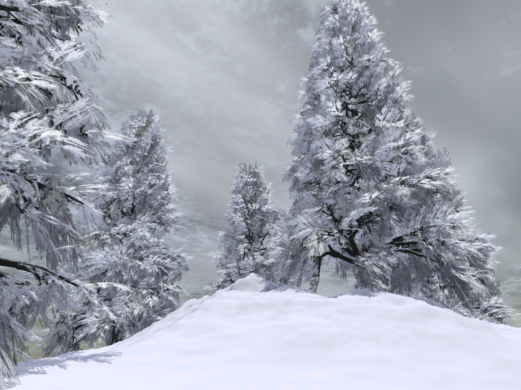 WINTER LOVE_DBJ-PP (2)