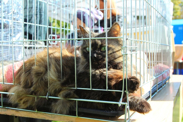 AAB57301-2FC2-4817-9D5B-AE5D24C4511F