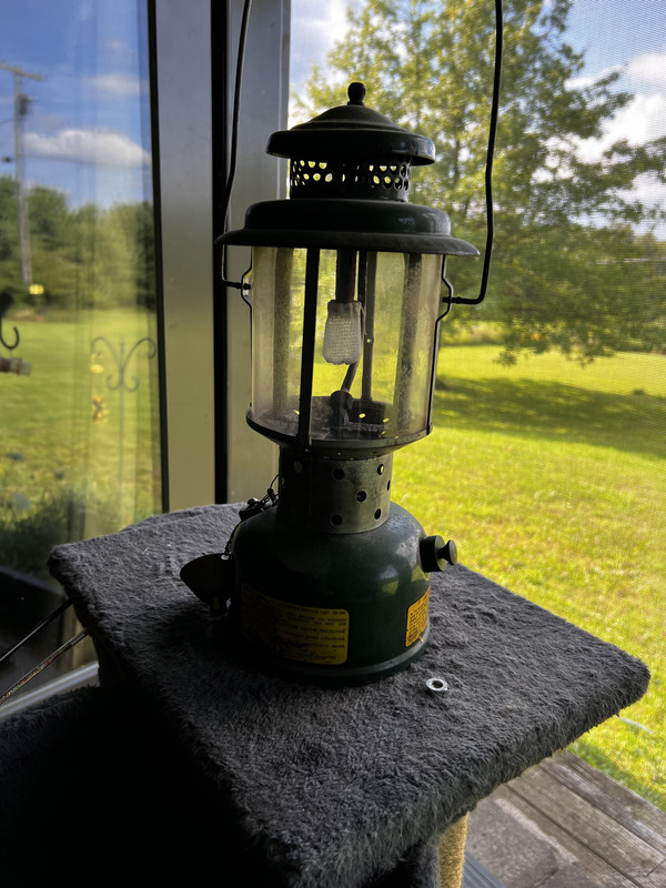 23CE79F2-5D4B-476E-BC07-7C0A2AEA91DE