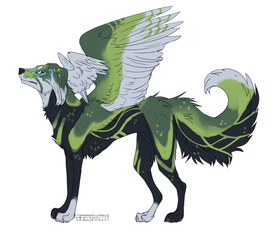 Excisus-Redesign.png