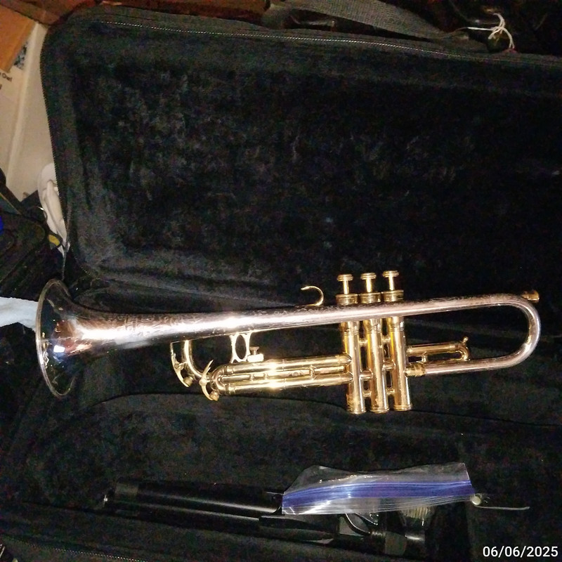 King 1962 Liberty Silversonic sn 377631 (4)
