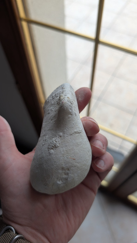 PXL 20251204 104527855