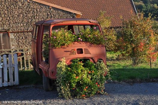 16684304_149870255524091_6672801108746822742_n