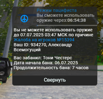 изображение_2025-07-06_205231061