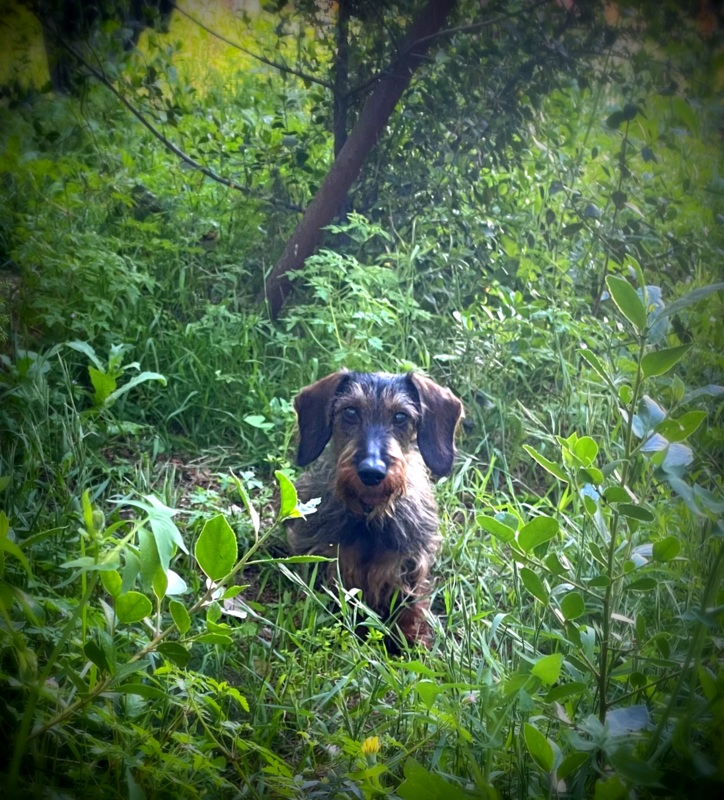 [Image: IMG-3210.jpg]