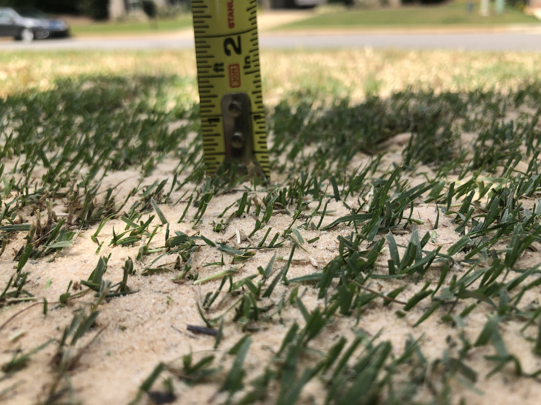 5E271A0B-866D-4BBE-8748-738547250FA7