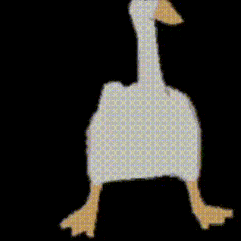 video.gif
