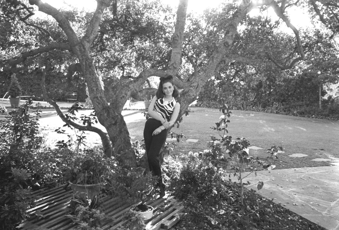 Natalie_Wood_me21