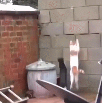 GIF-30.gif