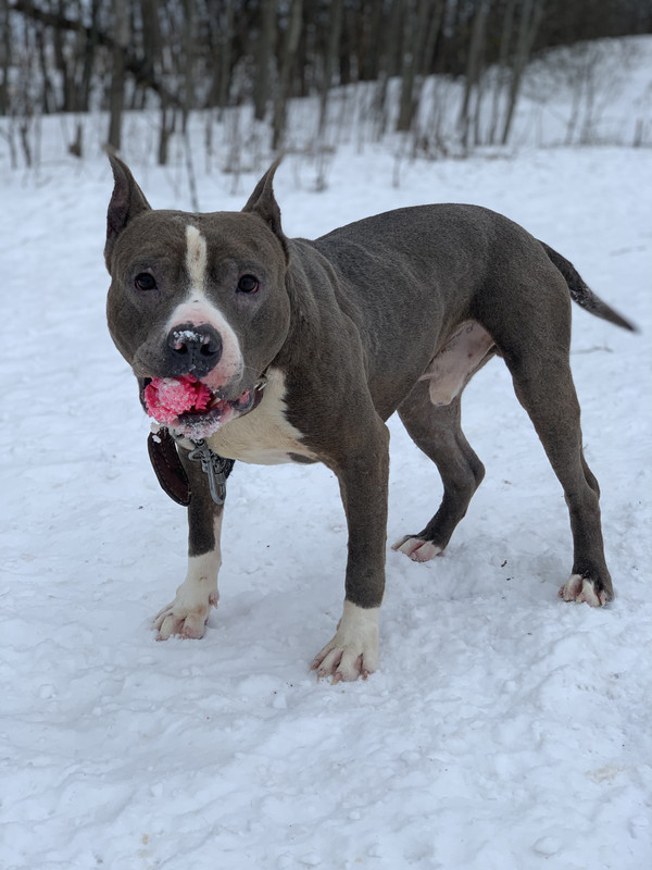 4056AD14-9354-4482-A10F-F863B69B1E40