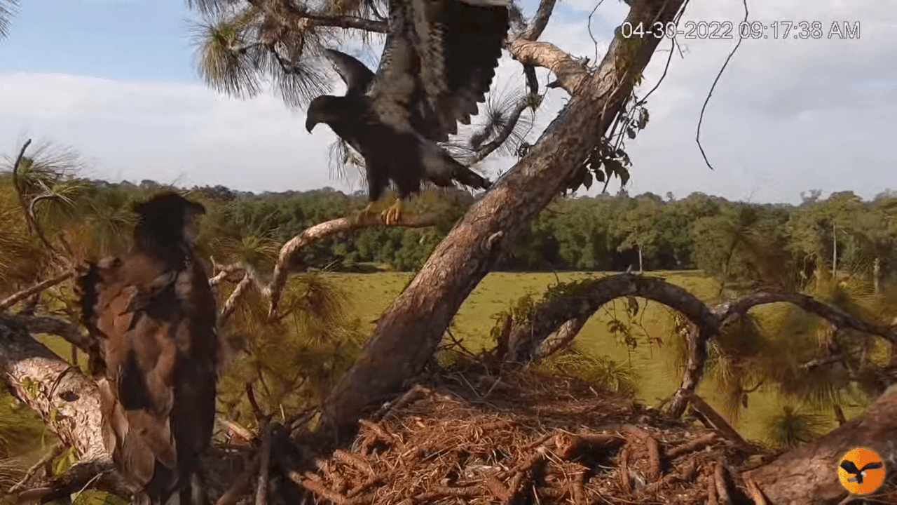 Webp.net-gifmaker (2)