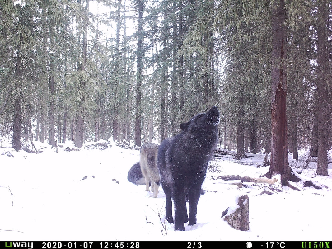 6615C281-E89E-41ED-B274-DEB99D7E5584