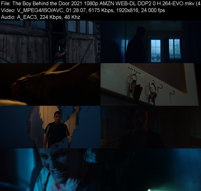 the-boy-behind-the-door-2021-1080p-amzn-
