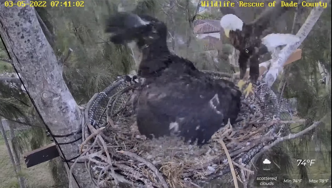 A6EA17AA-B572-42EB-B55F-FB24F121696E