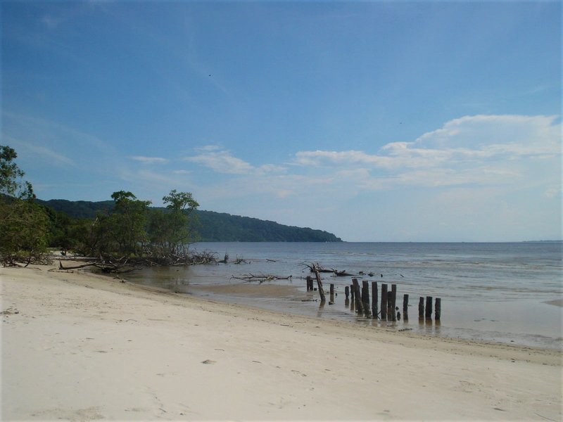 Ilha do Mel-21-2-2010 - Brasil y sus pueblos-2010 (37)