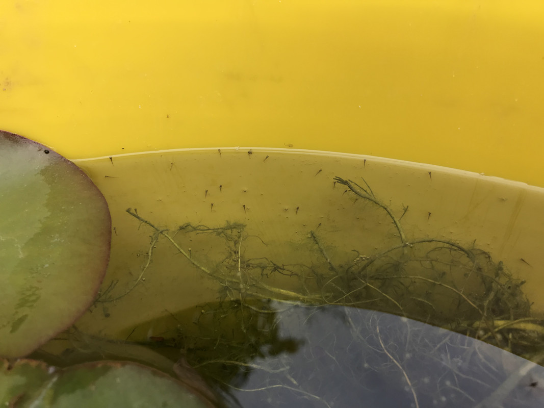 E424E2DE-AC3B-4396-B7E9-0CE9FDFF8C55