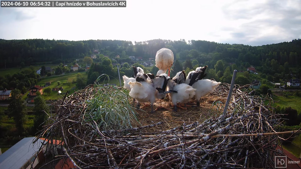 Tiešraidē no uzņēmuma KARA stārķa skursteņa Bohuslavicē pie Trutnovas 8-39-51 screenshot