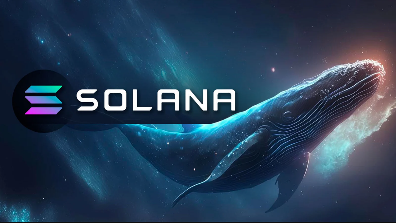 card image Крупный инвестор скупает Solana. Что будет с ценой