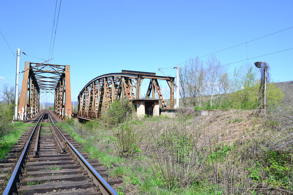 DSC_5203