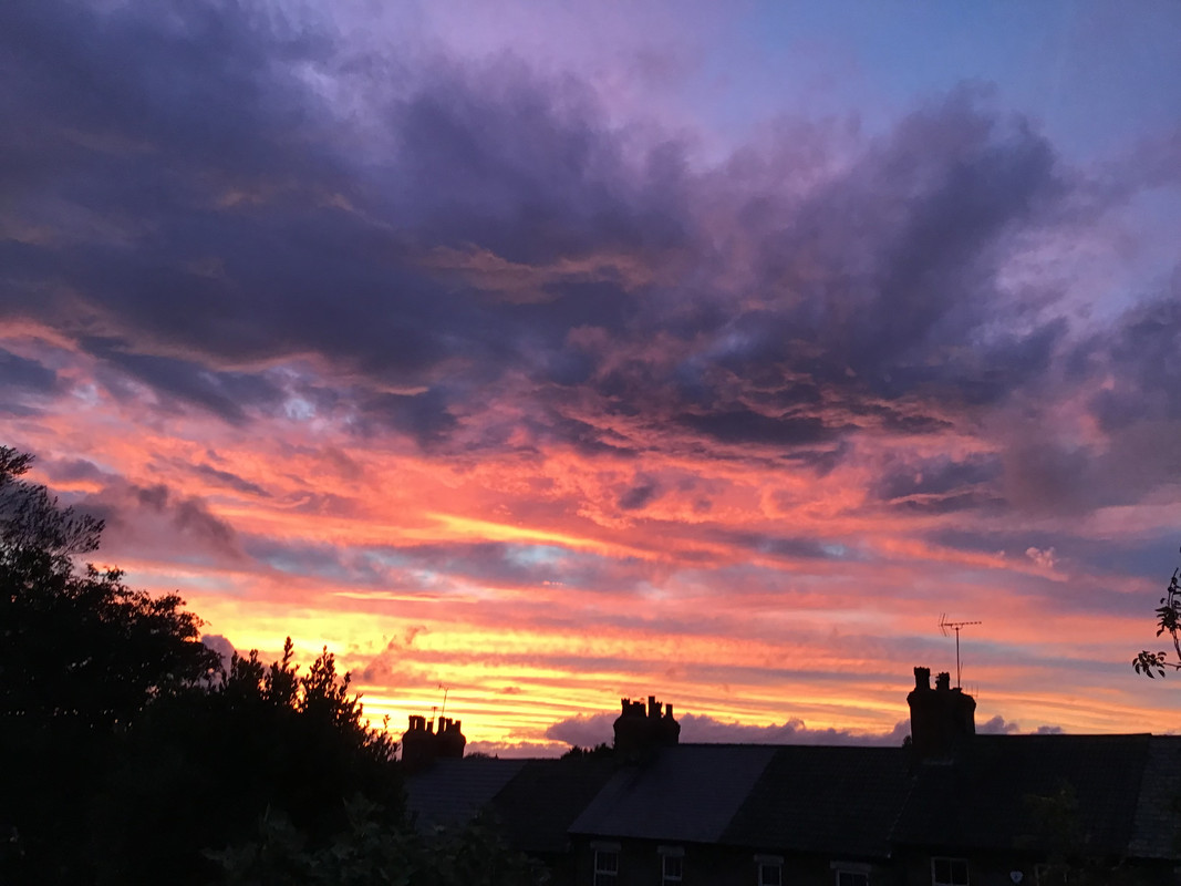 DCFA7AC8-6F20-4F1B-B850-0BAC8332143D