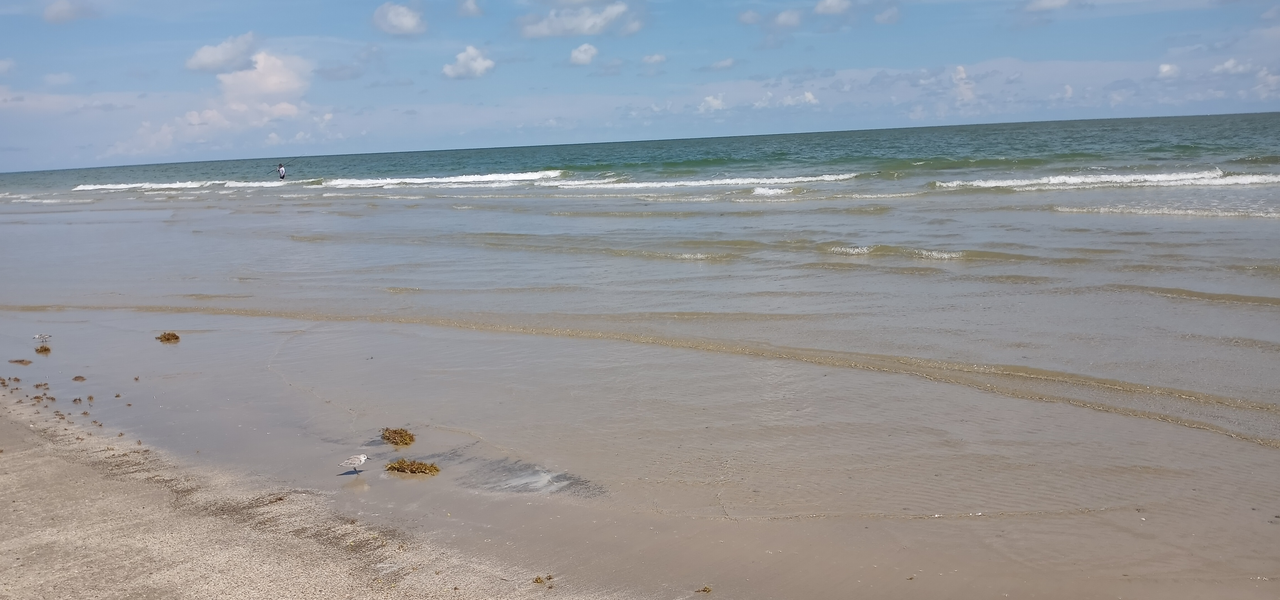 [Image: San-Luis-Beach-In-Galveston3.png]