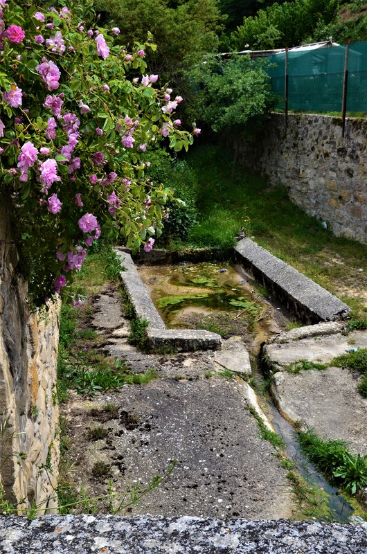 VALLE SALADO DE AÑANA-21-5-2021 - Alava y sus pueblos-2011/2021 (73)