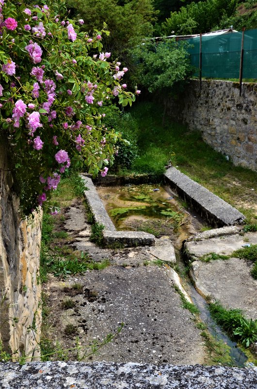 VALLE SALADO DE AÑANA-21-5-2021 - ALAVA Y SUS PUEBLOS-2011/2021 (73)