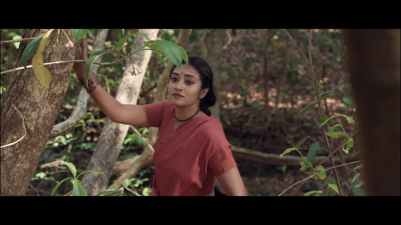 vlcsnap 2025 11 02 13h51m06s015