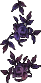 purple 21