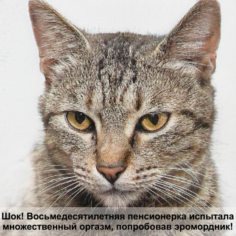 может ли кошка кашлять из за глистов